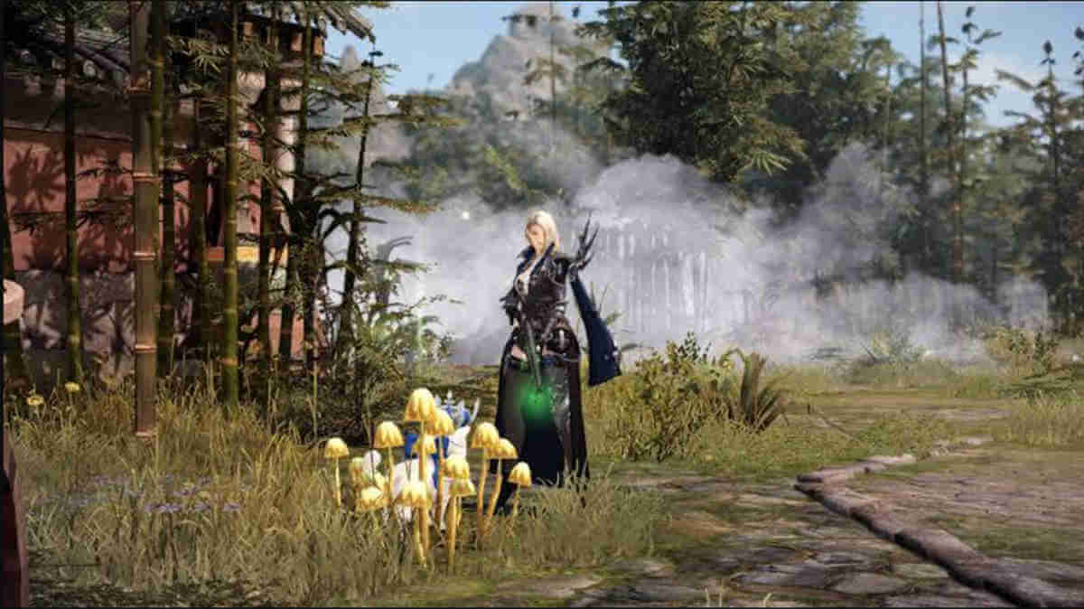 Lost Ark Foraging Locations